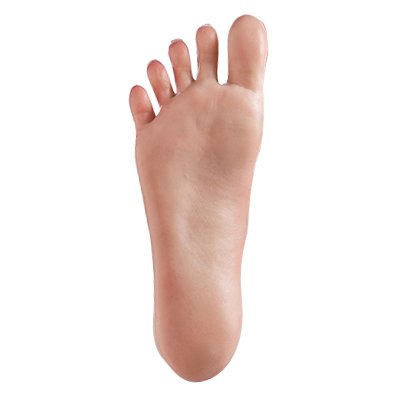 Normal Feet